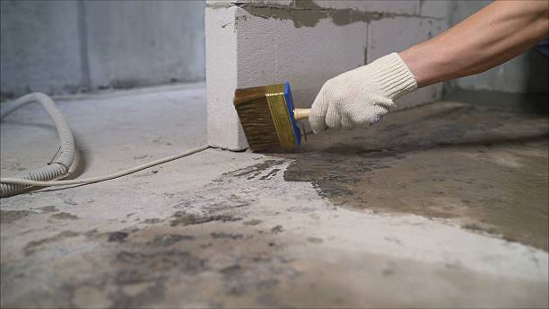 SJ Waterproofing Pros Emergency Waterproofing coverage map for Neosho, WI and surrounding area